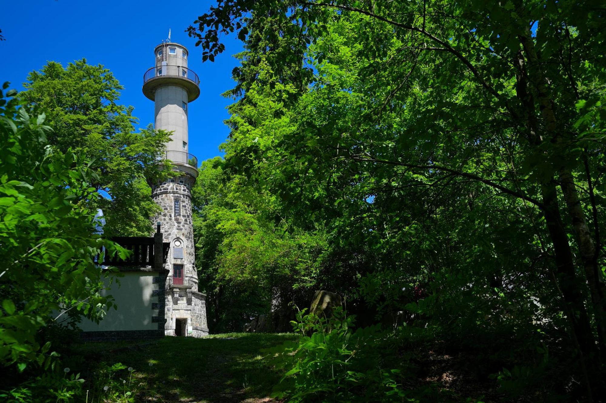 Gasthof Ungerberg Neustadt in Sachsen Exteriér fotografie