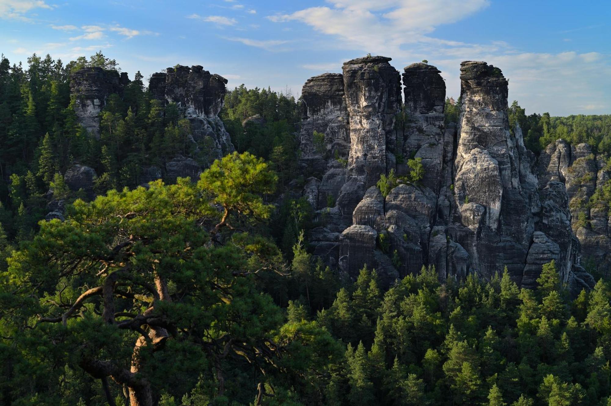 Gasthof Ungerberg Neustadt in Sachsen Exteriér fotografie